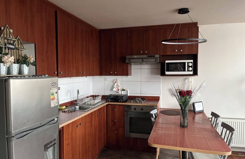 Downtown Santiago Apartment | Loft with city view