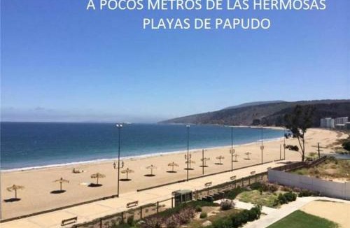 Papudo Apartment | Lomas de Papudo