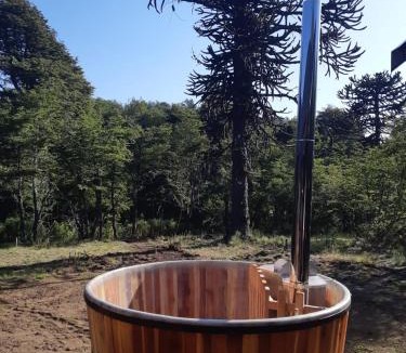 Malalcahuello Ski Chalet | Los Cantos del Agua