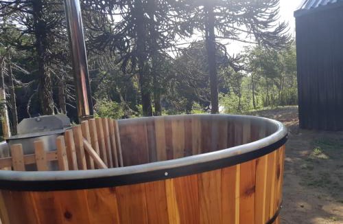 Malalcahuello Ski Chalet | Los Cantos del Agua