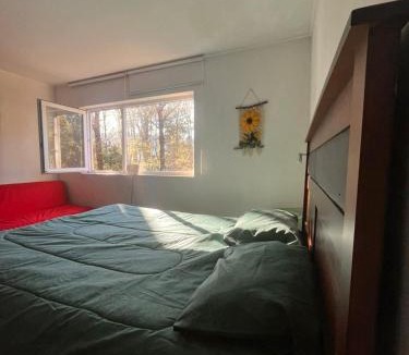 Pucon Apartment | Macu arriendo Pucón