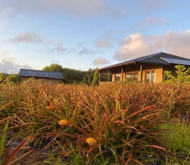 Hanga Roa Cabin | Maunga Roa Eco Lodge