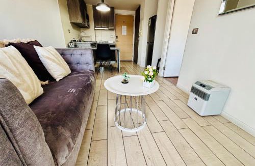 Downtown Santiago Apartment | Midtown Apartment for 2 people