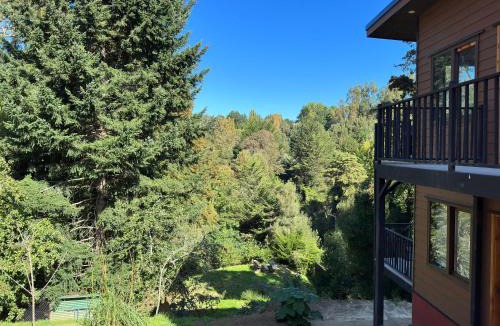 Osorno Apartment | mirabosque aparment ejecutivo 5
