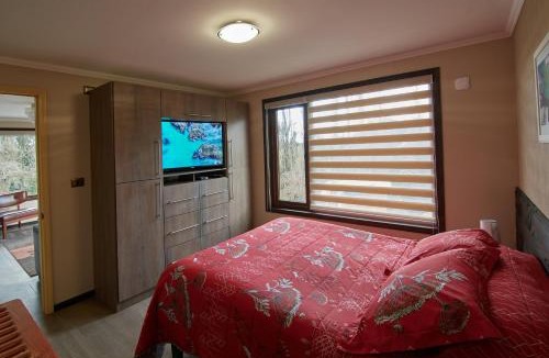 Osorno Apartment | mirabosque new aparments 4