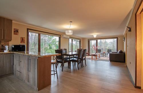 Osorno Apartment | mirabosque new aparments 4