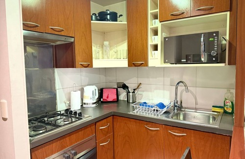 Lastarria Apartment | Modern 1BR near Bellas Artes - Santiago Downtown