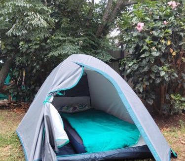 Hanga Roa Other | Moehiva Camping Rapa Nui