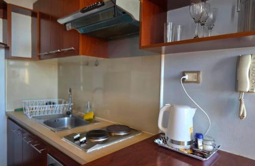 Downtown Santiago Apartment | Monedapart