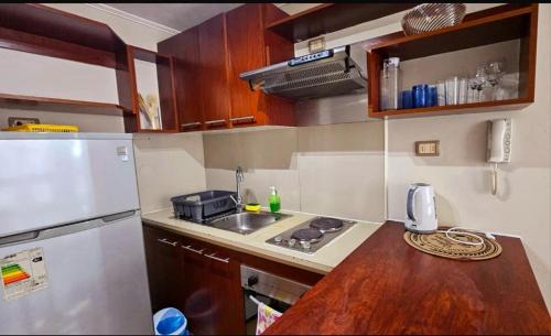 Downtown Santiago Apartment | Monedapart
