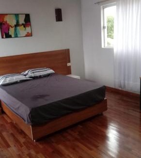 Villa Elisa Apartment | Monoambiente