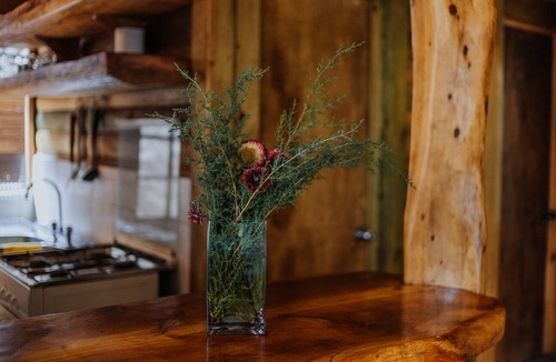 San Alfonso Cabin | Mountain Cabin with Wood-Burning Stove in Cajon del Maipo Chile