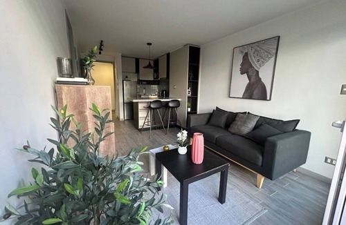 Downtown Santiago Apartment | Movistar Arena Santiago - Domus Travels