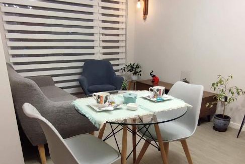 Concepcion Apartment | MyS AMOBLADOS SpA-Freire12