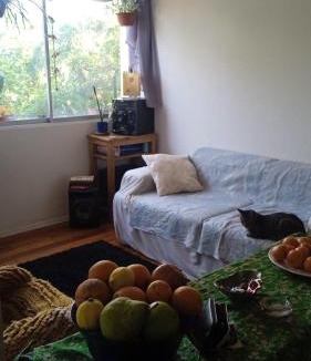 Downtown Santiago Bed & Breakfast | Nido Urbano República