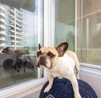 Renaca Apartment | Ocean and forest views, perfect for you