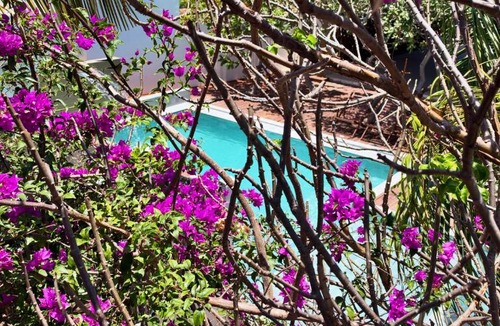 Atins House | Oka Pousada Atins