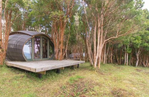 Quellon Apartment | On a remote island surrounded by pure nature