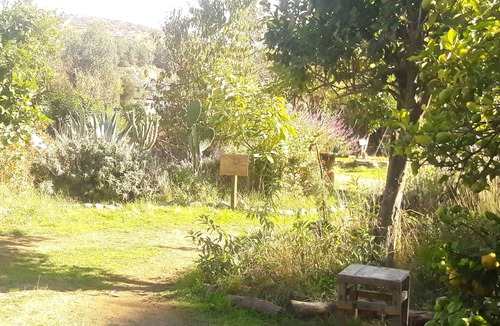 Limache Hostel | Our Eco Hostel is an oasis of nature and peace to rest and enjoy.