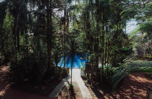Puerto Iguazu Cabin | Overo Lodge & Selva