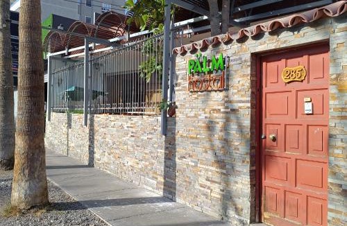 Cavancha House | Palm Hostal