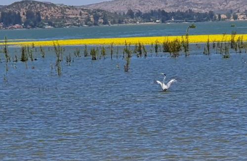 Las Cabras House | Parcela de 3 hectáreas con orilla de Lago