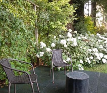 Villarrica Apartment | Parcela de Agrados
