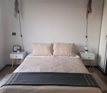 Downtown Santiago Apartment | Parque Almagro central Movistar Arena