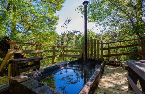 Neltume Cabin | Patagonia Mawida