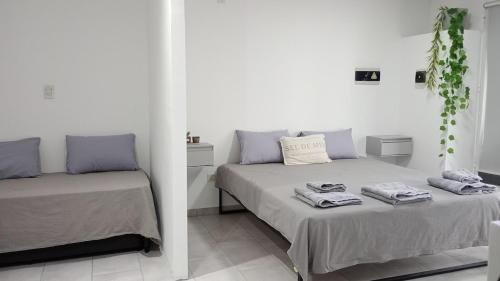 Rio Colorado Apartment | Pisadas II Gerber