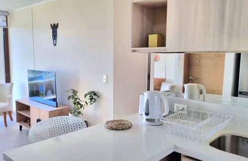 Temuco Apartment | Premium Apartment in Downtown Temuco | Wi-Fi, Parking | 5 Guests