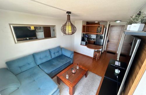 Bellas Artes Apartment | Private apartment in Santiago
