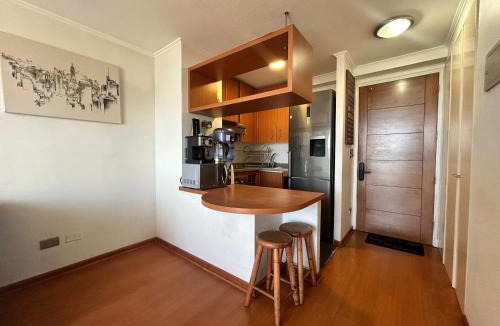 Bellas Artes Apartment | Private apartment in Santiago