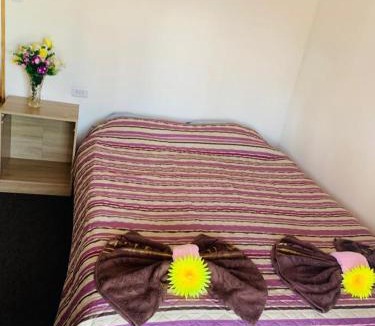 Hanga Roa Hostel | Pua vaenga