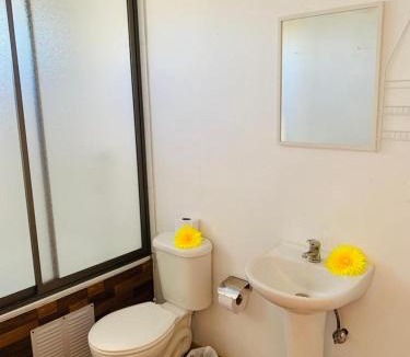 Hanga Roa Hostel | Pua vaenga