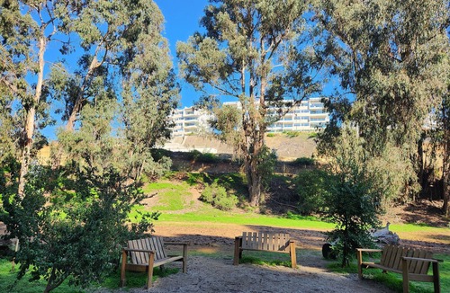 Renaca Apartment | Reñaca Apartment. Viña del Mar