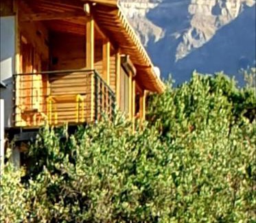 El Ingenio Ski Chalet | Refugio Cordillera Flora endógena Bosque Esclerófilo