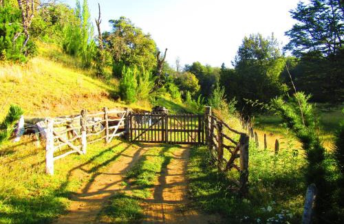 Curacautin House | Refugio Montaña Kultrun Mawida, Mini-Cabaña con baño y cocina privada