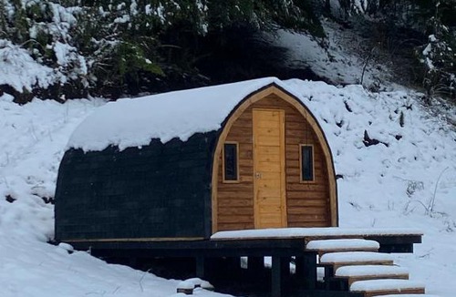 Curacautin House | Refugio Raki