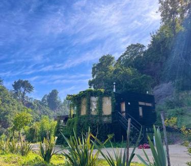 Constitucion Cabin | Reserva los Bollenes
