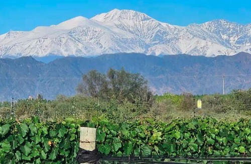 Lujan de Cuyo Other | Rincon del Malbec