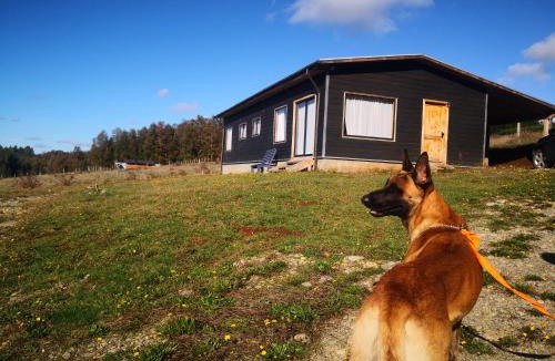 Lanco House | Ruka wentu - Casa de Arriba con vista hermosa