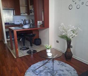 Bellas Artes Apartment | Santiago Centro Apart