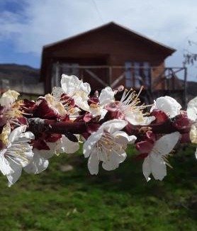 Luis Soto Bed & Breakfast | Sol de la Patagonia