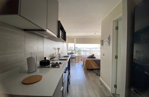 Temuco Apartment | Temuco suite