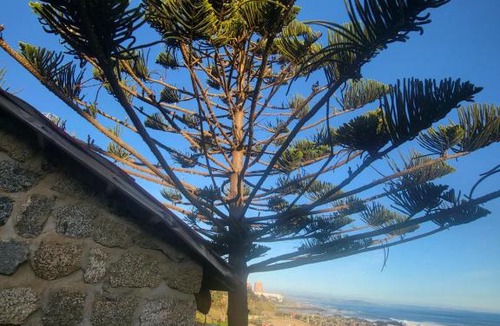 Isla Negra House | Tinyhouse3