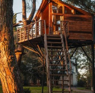 Tandil House | Treehouse Elena