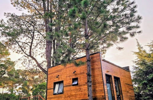 Vila Telma Cabin | Treehouse in Campos do Jordão, a romantic retreat of good taste and tranquility.