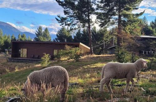 Cochrane Apartment | Turismo y Cabañas Dragon de La Patagonia