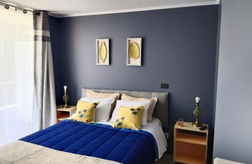 Bellavista Apartment | Uno y Dos dormitorios VIVIR EN SANTIAGO